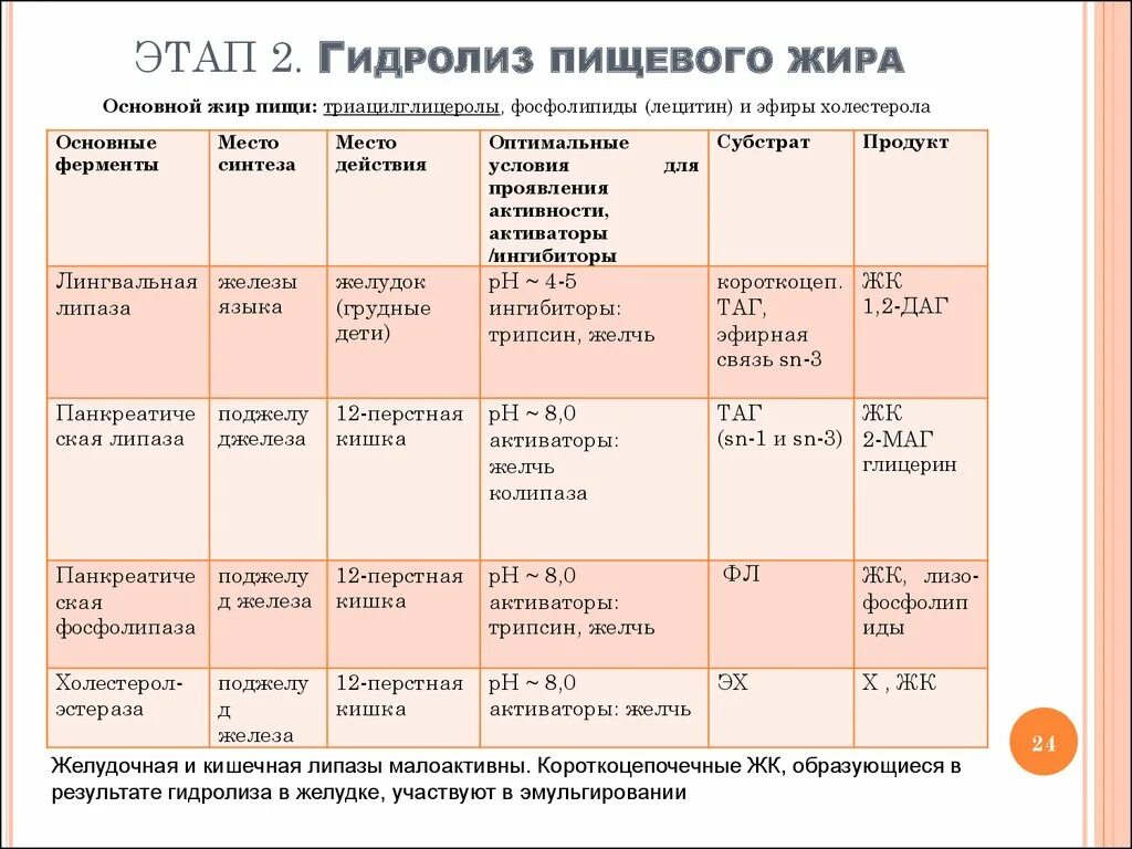 Ферменты эмульгирующий жиры. Эмульгирование жира лабораторная работа. Лабораторная работа исследование процессов эмульгирования жиров. Эмульгирование жиров таблица. Этапы эмульгирования жиров.