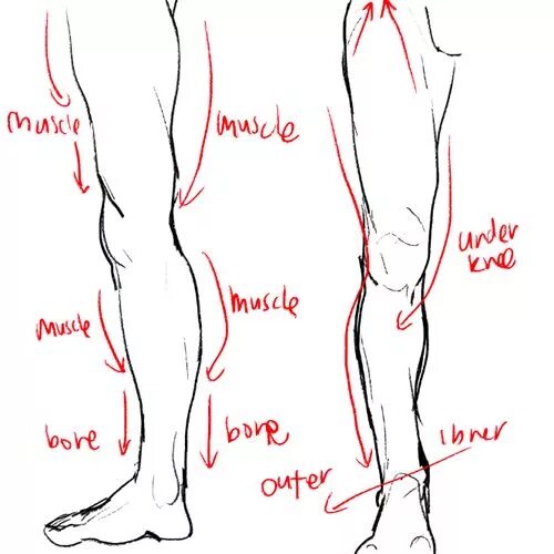 Leg reference