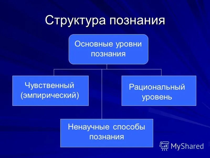 Познание относительно. Структура познания. структура процесса познания в философии. структура чувственного познания. познание структура познания.