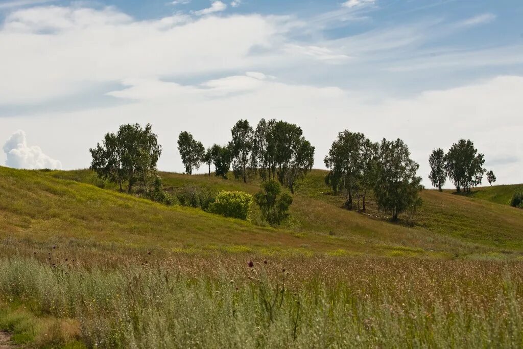 Лысая гора Ровеньки. Холмы в Калужской области лысая гора. Лысая гора Тамбов. Лысая гора Белгородская область.