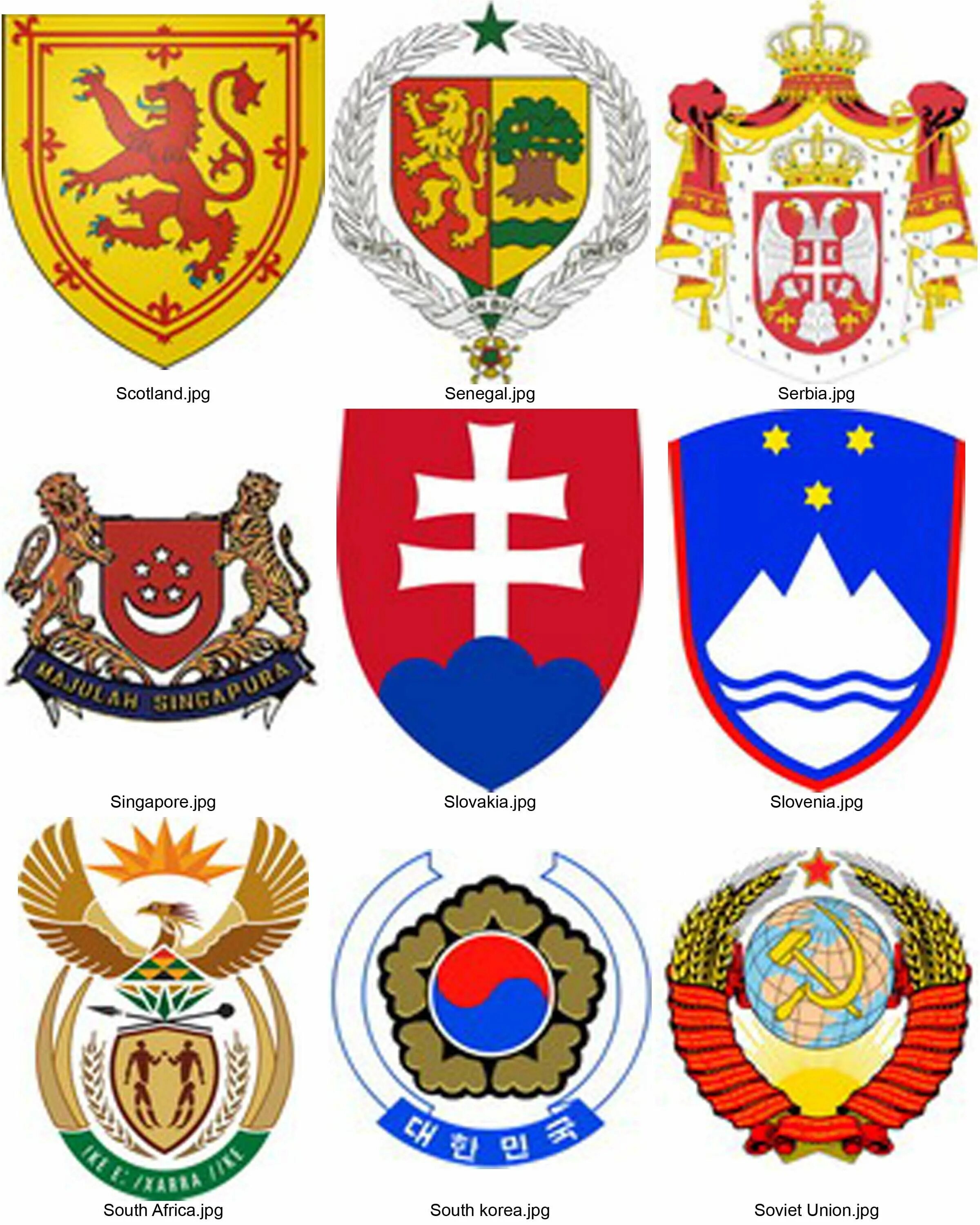 Гербы разных государств. Название гербов стран. Разные гербы разных стран. Гербы разных городов