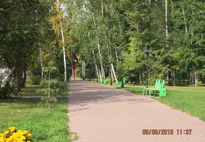 Дсол кд березовая роща. Берёзовая роща парк новосибирск. лагерь берёзовая роща ивановская. берёзовая роща лагерь ижевск. березовая роща иваново лагерь.