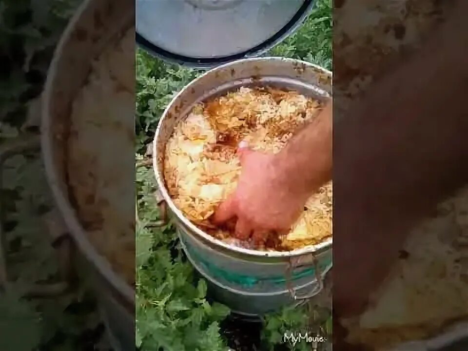 Как вытопить воск из сот. Воск из забруса. перетопка воска в домашних условиях без воскотопки. растопка воск + опилки. как перетопить воск без воскотопки в домашних условиях.