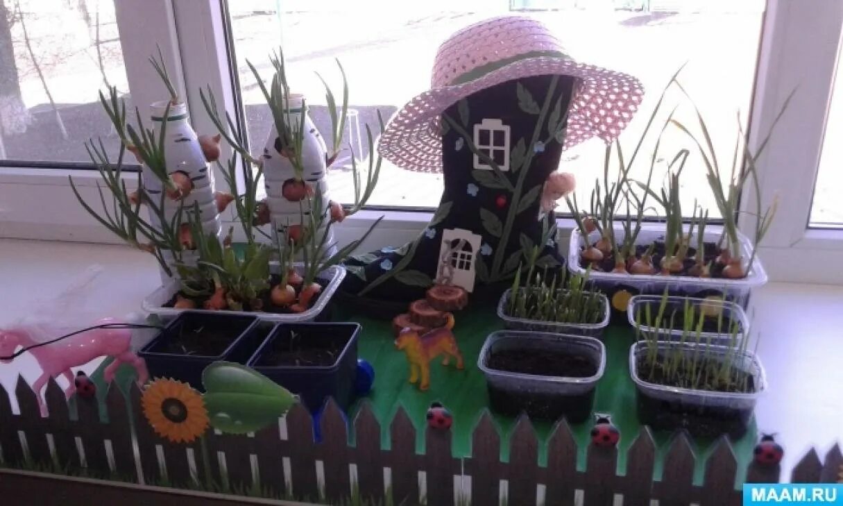 Огород на окошке в детском саду. Гр. Огород на окошке младшая группа. Огород на подоконнике в детском саду. Огород на подоконнике.