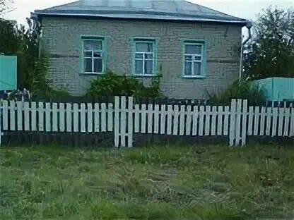 Авито марии эл животные