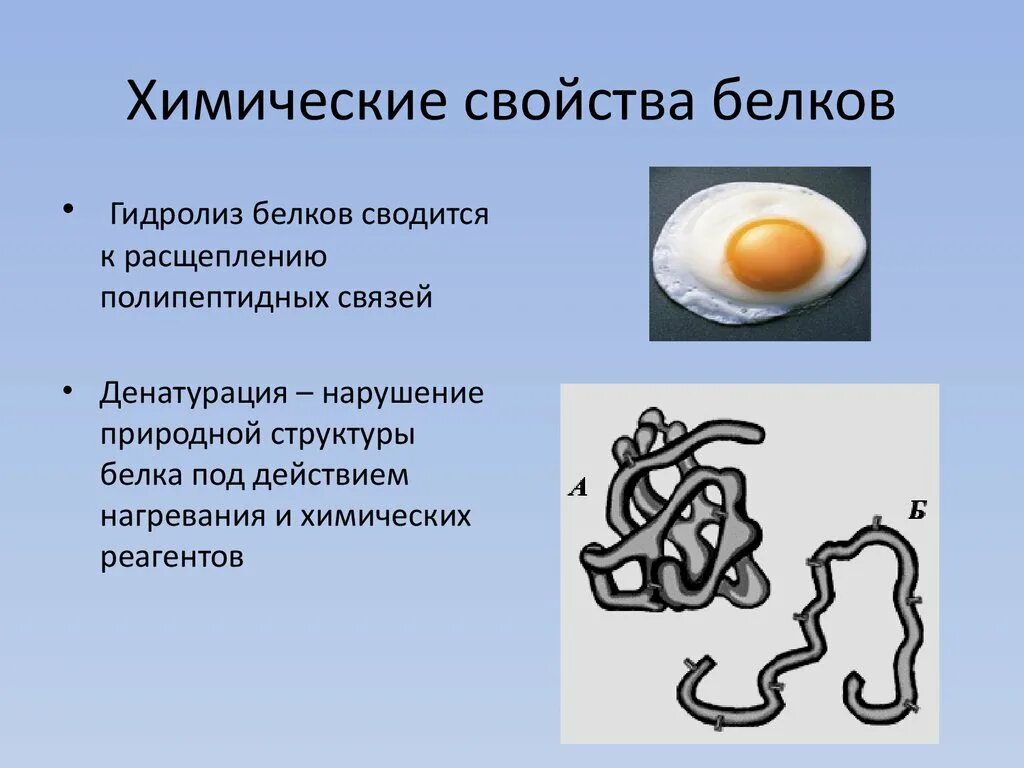 Общие свойства белков. Физико-химические характеристики белков. Химические свойства белков 10 класс. Химические свойства бе. Химическая денатурация белка.