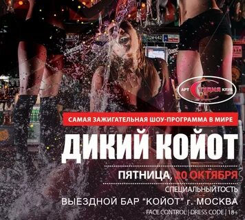 Слушать бар койот