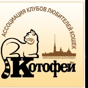 Клуб коте