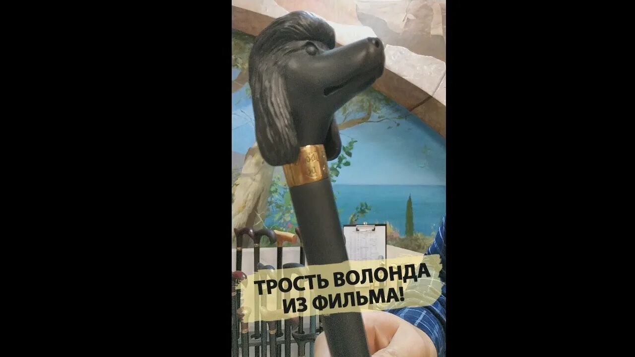 Трость с пуделем. Набалдашник трости Воланда. Трость из мастера и Маргариты.