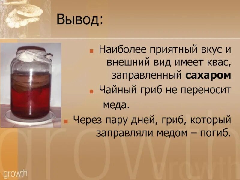 Чайный гриб вкус. Чайный гриб в трехлитровой банке. Чайный гриб в 3 литровой банке. Чайный гриб презентация.