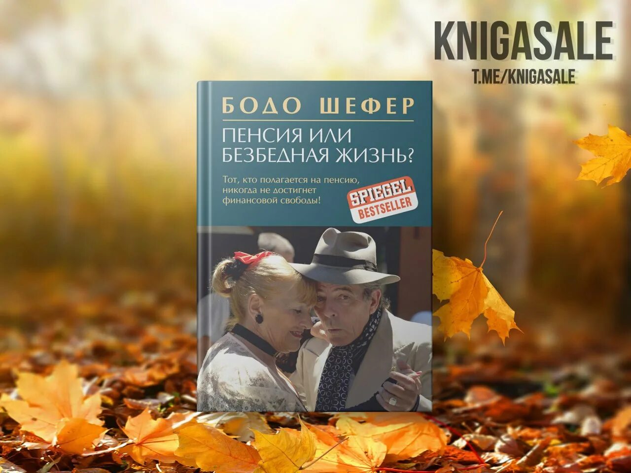 бодо шефер. шефер бодо пенсия или безбедная жизнь читать онлайн бесплатно. бодо шефер пенсия или безбедная жизнь. майкл сэндел. бодо шефер книги пенсия.