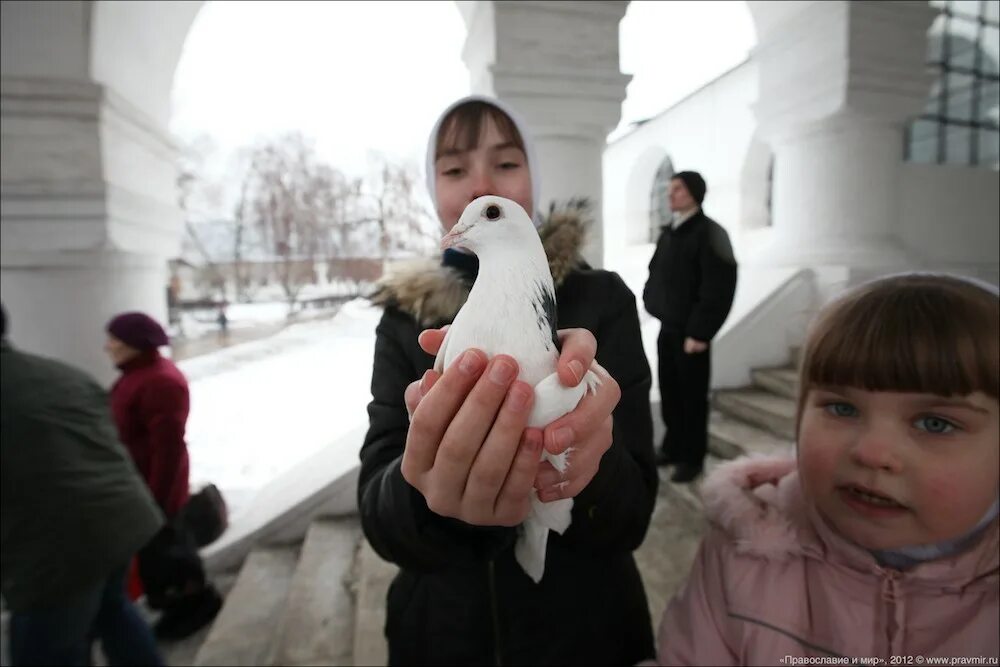 На волю птичку выпускаю при светлом празднике. Церковь и голуби. Белый голубь храм. Выпускают голубей на Благовещение. Церковь голубь Благовещение.