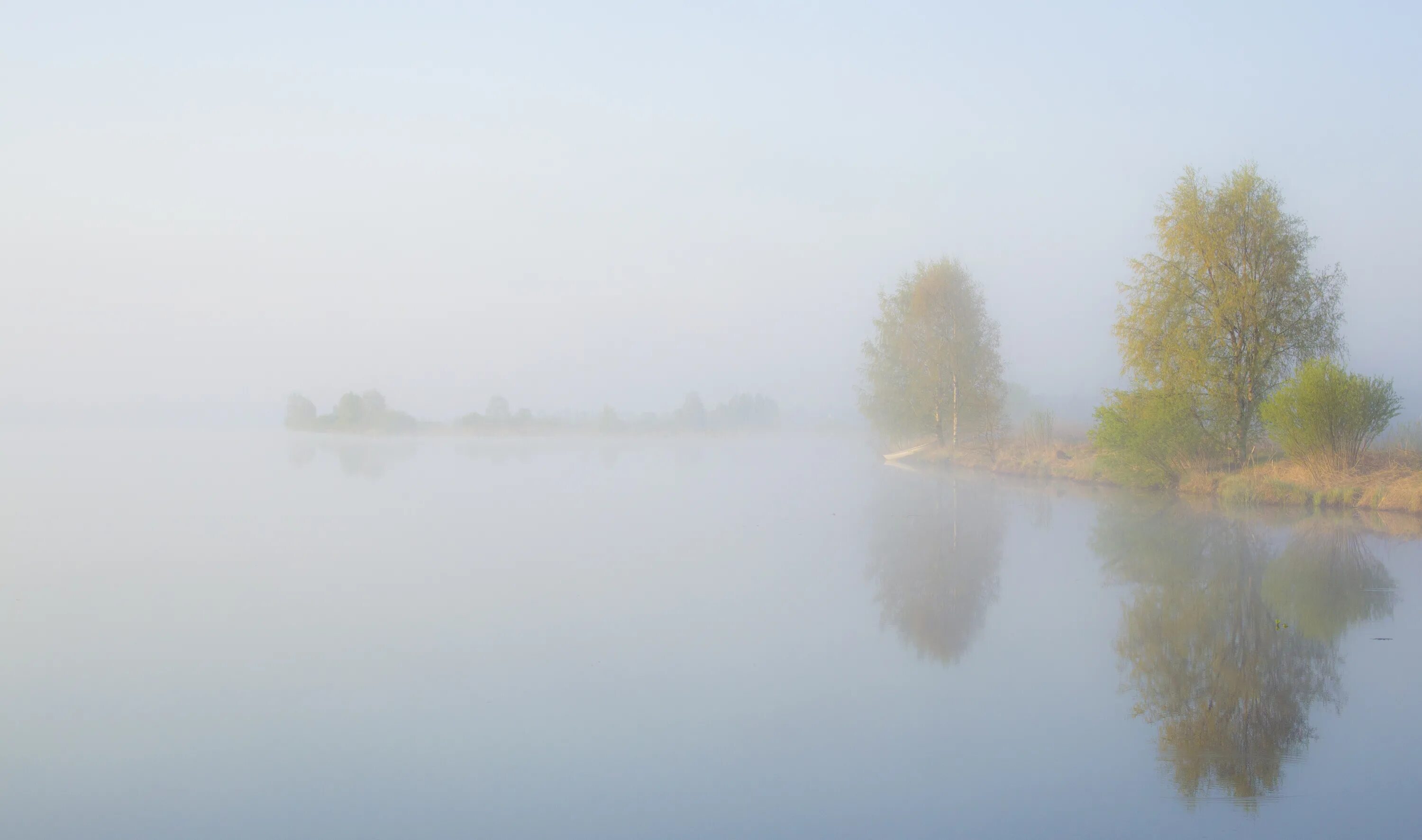 Озеро в тумане. Утренние сумерки. Туманное утро на озере текстура. Туман над водой. Туманный пейзаж.