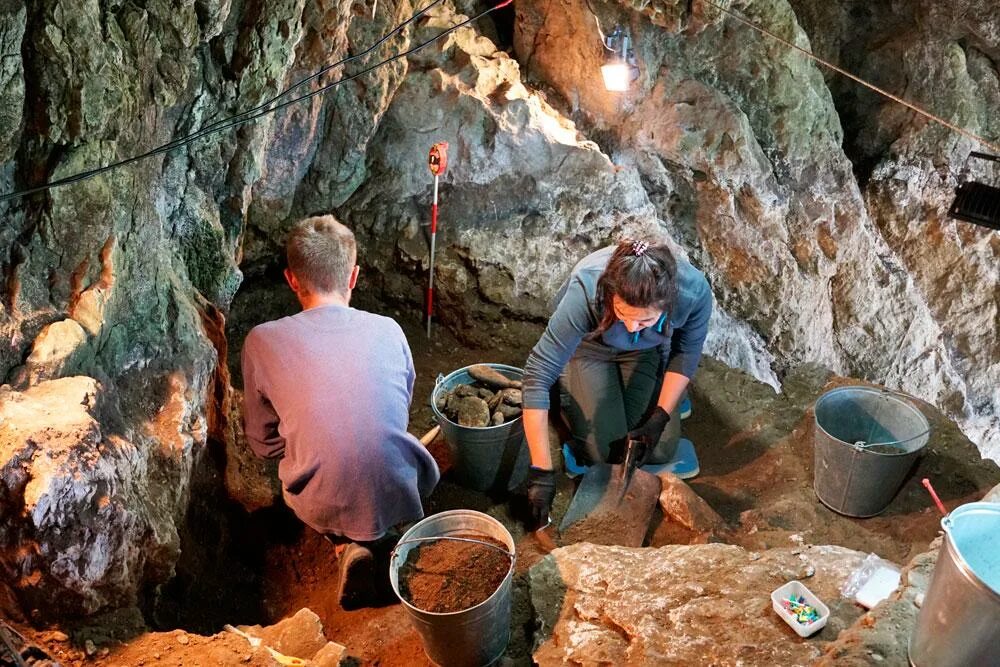 Алтай древний человек. Хомо сапиенс денисовский человек неандерталец. Раскопки в денисовской пещере. Алтай древний человек. Алтай древний человек.