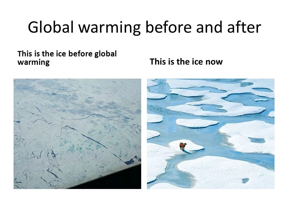 Global warming презентация. Изменение климата на английском. Глобальное потепление на английском. Что такое глобальное потепление на англ. Effects of global warming