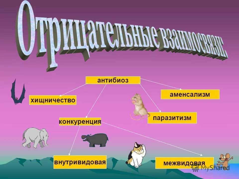 Конкуренция хищничество паразитизм примеры. Различия хищничества и паразитизма. Конкуренция хищничество паразитизм примеры. Межвидовые биотические взаимоотношения в экосистеме. Полезновредные паразитизм.