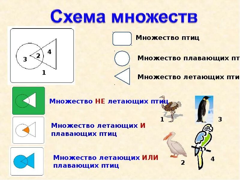 Элементы множества схема. Множества схема. структурные схемы множеств. множество это в информатике. множество птиц.