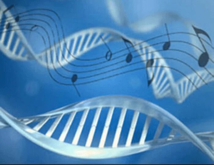 Музыкотерапия. Музыкальное ДНК. ДНК музыка. Звуки ДНК\.