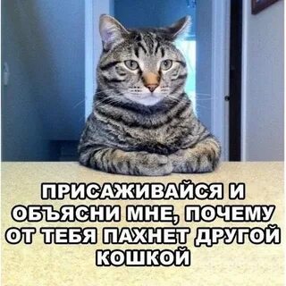 Серьезно поговорить