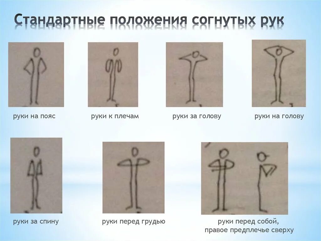 Изменение положение рук. Положения согнутых рук. положения с согнутыми руками. положения согнутых рук в гимнастике. исходное положение рук в гимнастике.