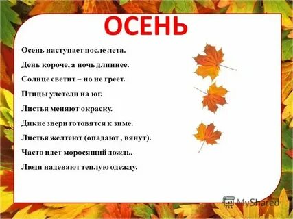 3 осенью 4 выйдет