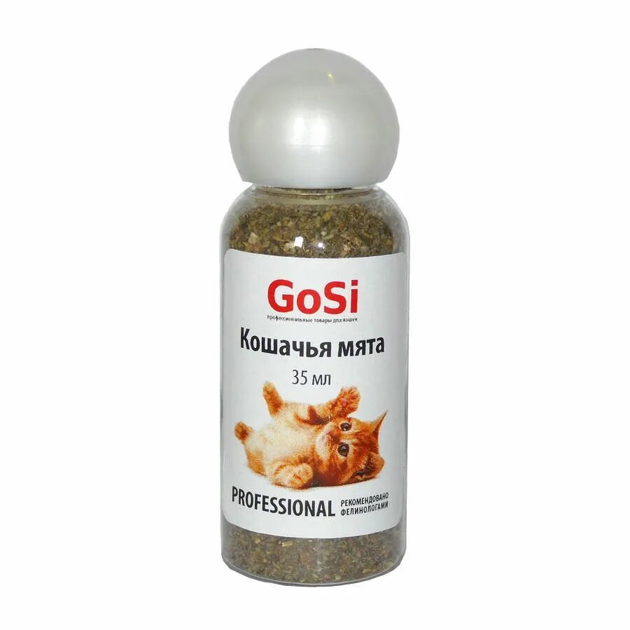 Как дать коту кошачью мяту