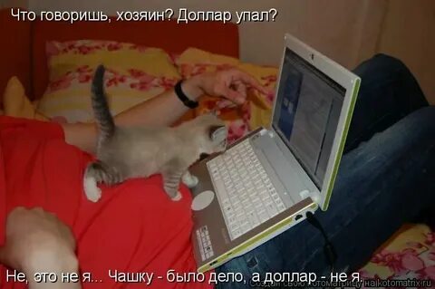 Что дом говорит о хозяине