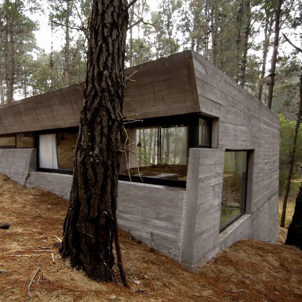 Построить дом из бетона. Бетонный дом. Дачный домик из бетона. Дом из бетона в лесу. Дом бункер из бетона.