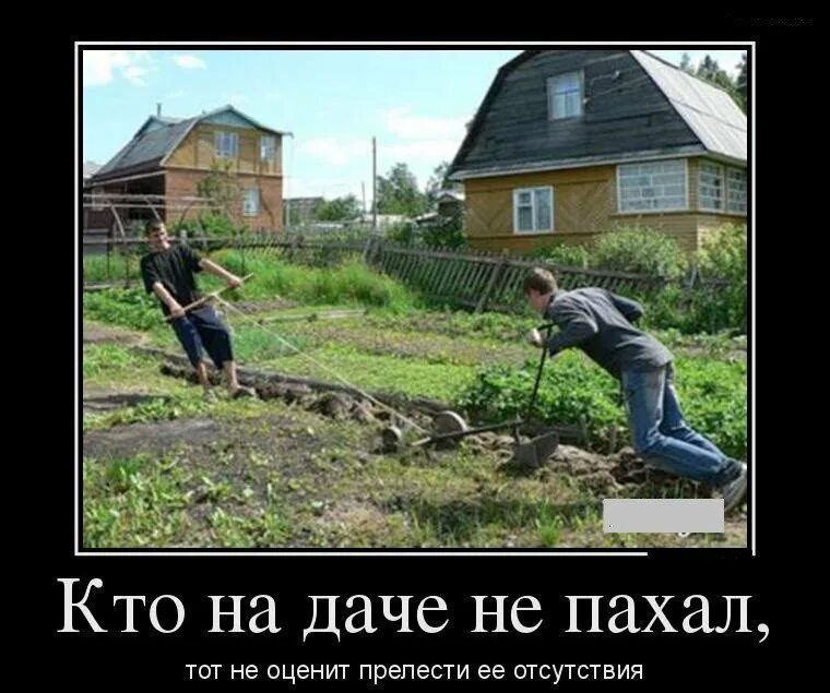 Почему не работает дача