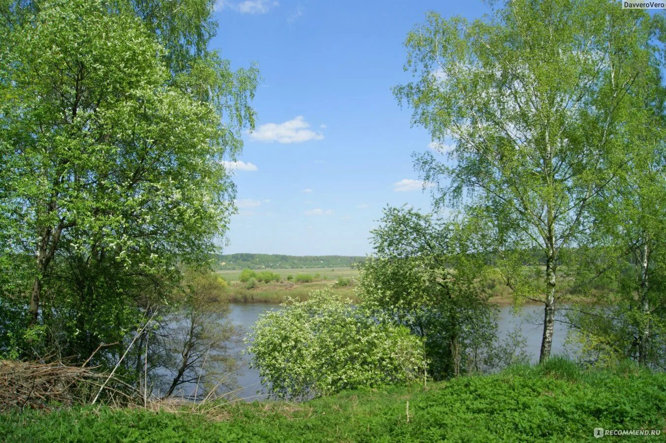 Погода в тарусе калужской области. Таруса весной. Таруса Калужская область. Роща пруд город Таруса.