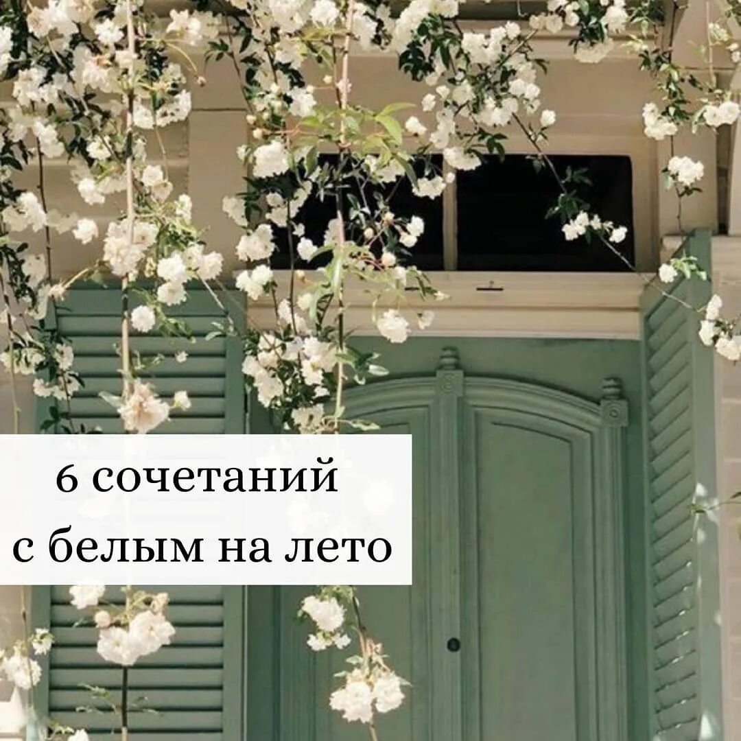 новый тренд текст