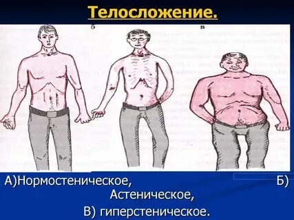 Астеноидного телосложения