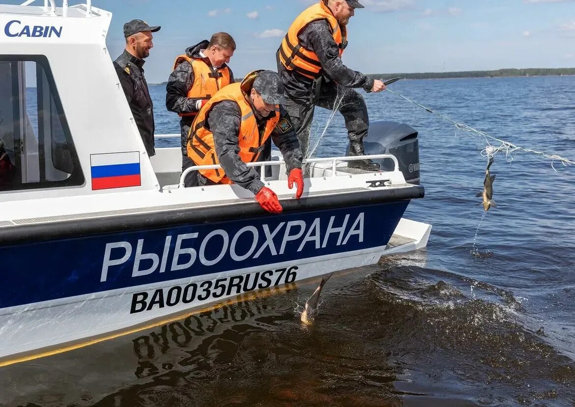 Купаться запрещено. Запрет рыбной ловли на карте. Запрет на рыбалку в 2024 рыбинском водохранилище. Ограничение рыбалки сербия. Ставник.