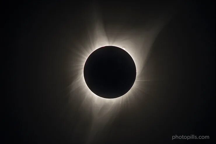 Карбондейл Иллинойс солнечное затмение. Цвет затмения. Solar Eclipse катана. Цвет серое затмение.