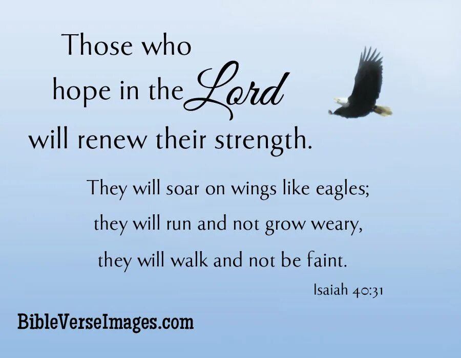 Trust me again. Hope to read from you. Hope to read from you. Надпись my future. Hope to read from you.