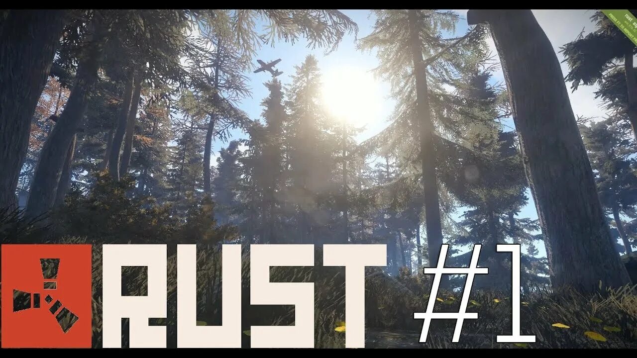 Rust name
