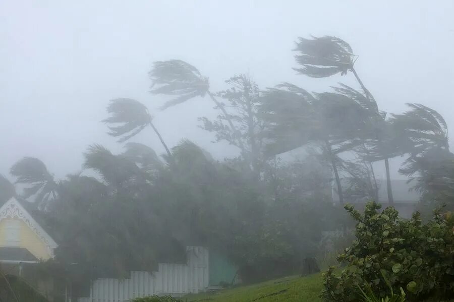 A very strong wind is. Strong wind. strong wind natural disaster. tree wind. hurricanes bring along very strong winds and a lot of rainfall..