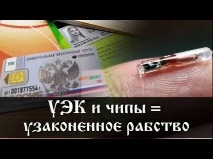 Чип деньги