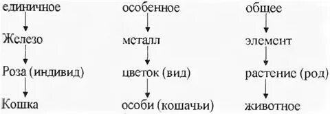 Единичное и общее это