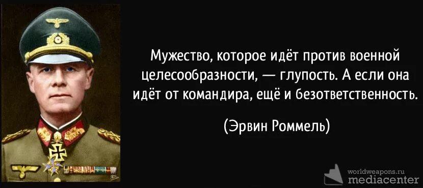 Военные цитаты. Изречения немецких генералов. Фразы о войне. Цитаты немецких генералов о русских. Военные глупы