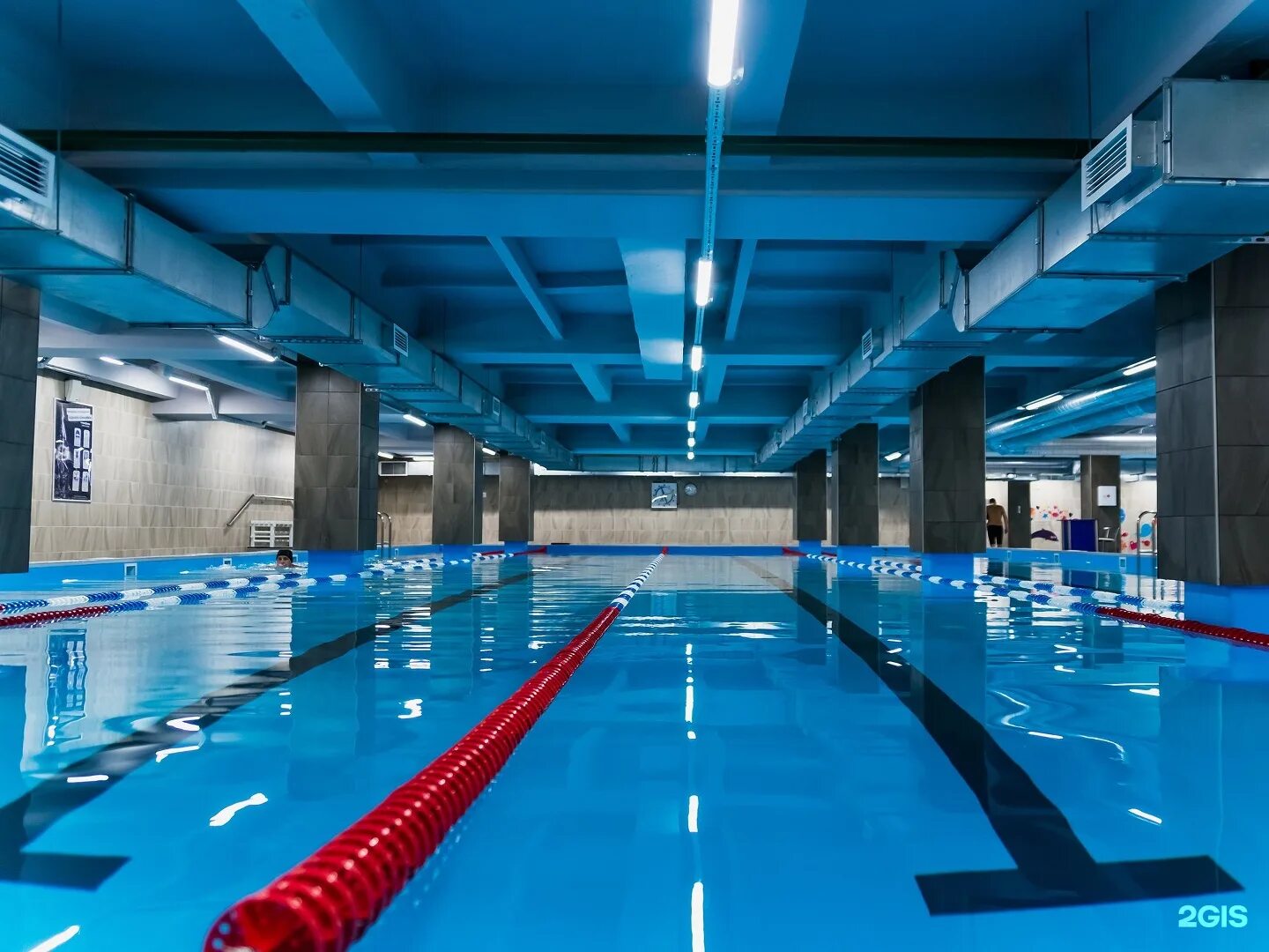 Бассейн цска ввс в тольятти. Бассейн в тгу на фрунзе тольятти. Бассейн тольятти автозаводский. Бассейн дельфин тольятти. Бассейн тольятти автозаводский.