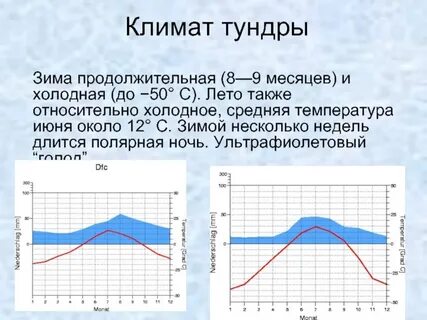 Средняя температура зимой и летом в тундре