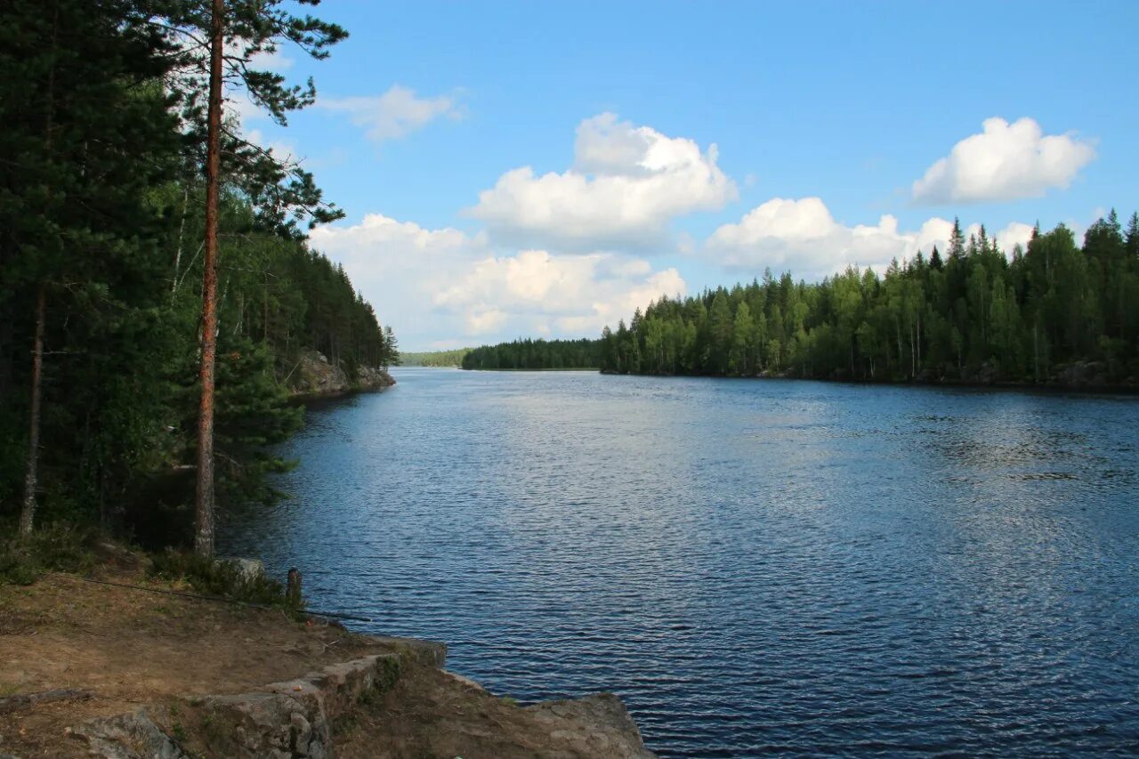 Река суна. Озеро кивиярви карелия. суна карелия. суна озера онежское.