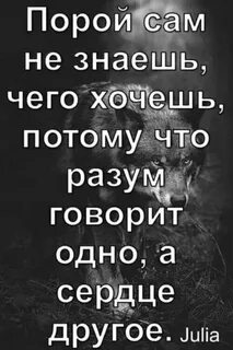 Сердце говорит говорит говорит что тебя