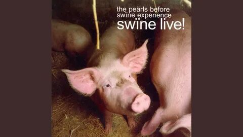 Cast pearls before swine
