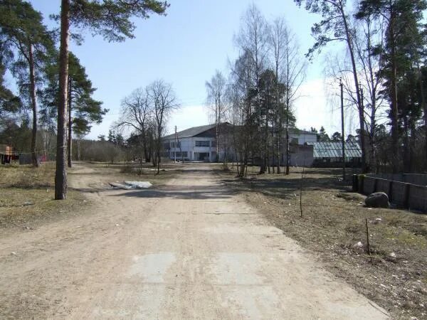 Поселок поляны ленинградская область погода. Посëлок поляны выборг. Деревня кирконкюля в карелии. Посёлок поляны ленинградская область. Поселок поляны ленинградская область погода.