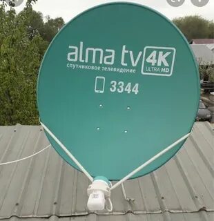Алма тв контакты