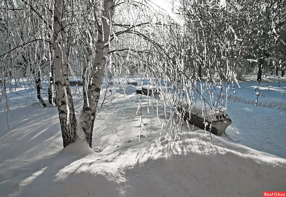 Хрустальная зима. Природа Оренбурга зимой. Красота зимы хрустальной. Хрустальные зимние пейзажи. Хрустальная березка