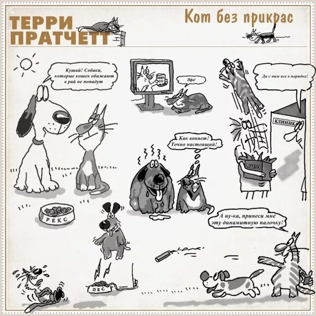 Читать любовь без прикрас. Терри Пратчетт кот без прикрас. Кот без дураков Терри Пратчетт книга. Терри Пратчетт кот без прикрас обложка. Кот без прикрас описание.