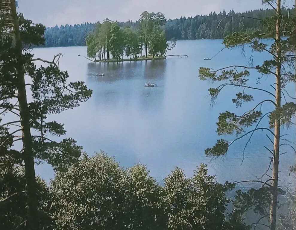 Озеро таир. Озеро Таир Марий Эл. Озеро Таир Марий Эл остров. Озеро Таир Марий Эл базы. Лагерь на озере Таир Марий Эл.